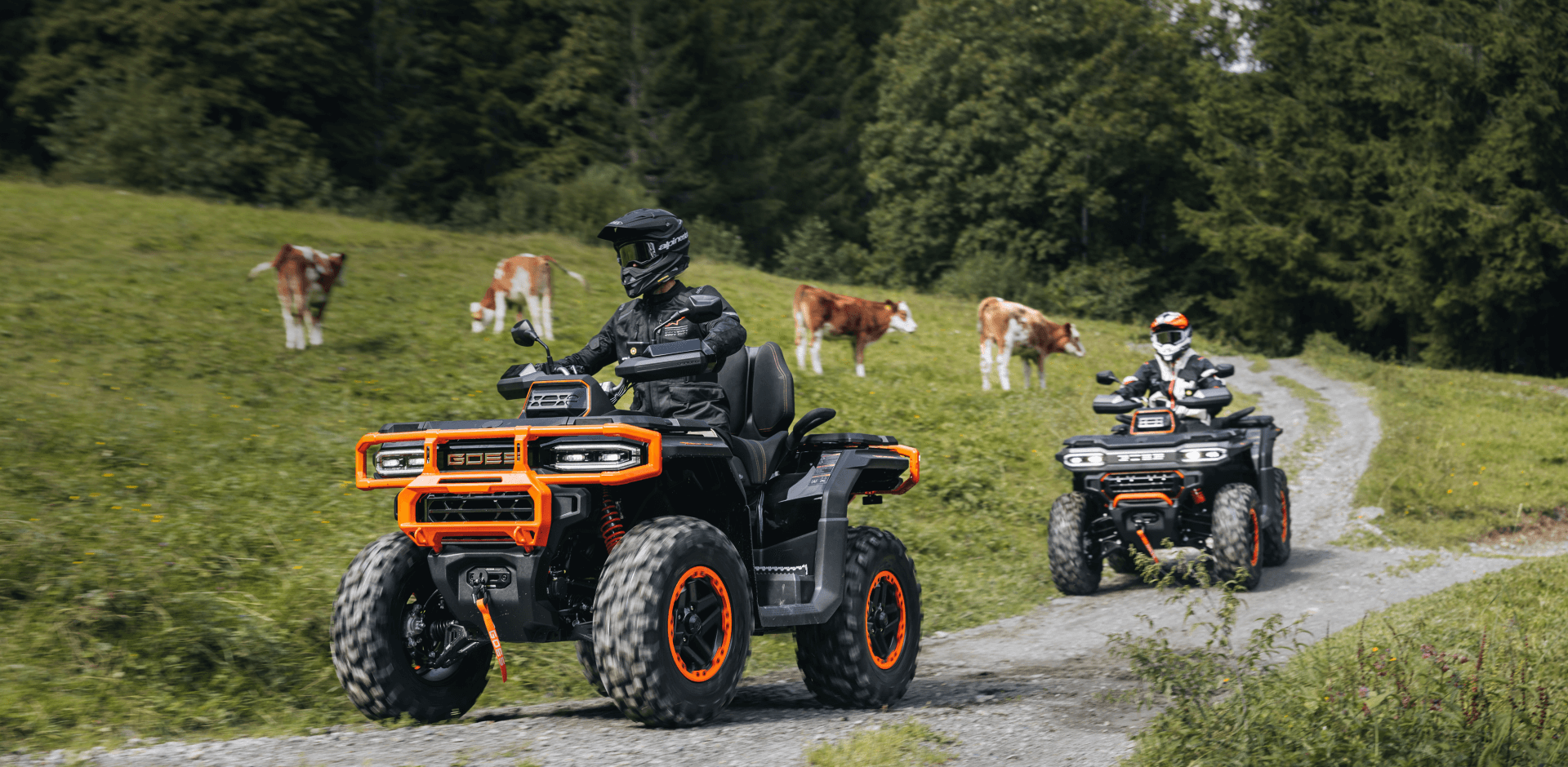 TERROX 1000 powertrain